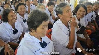 山东老太爆料新闻报道,揭开某事件背后惊人真相